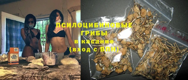 дживик Алексин