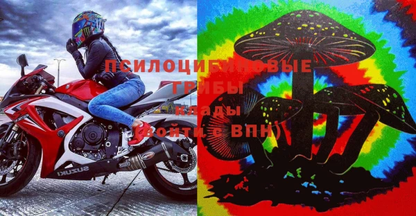 дживик Алексин
