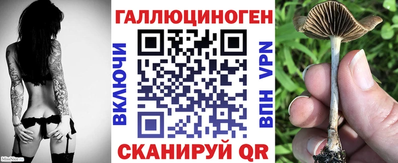 где можно купить наркотик  мега вход  Псилоцибиновые грибы мицелий  Мичуринск 